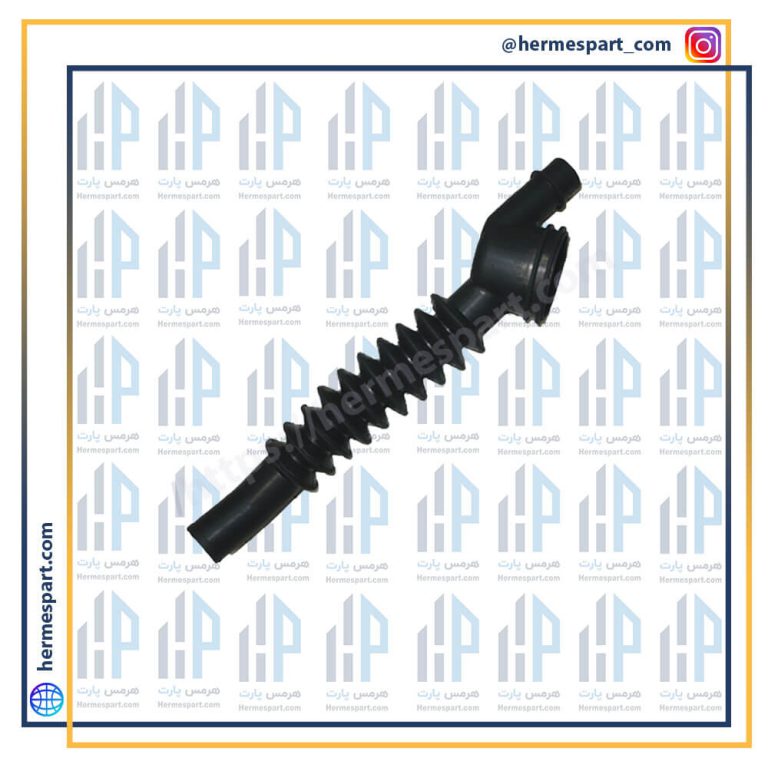 خرطومی زیر دیگ پارس