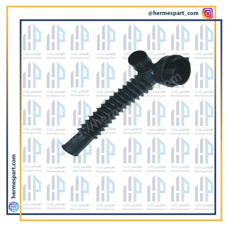 خرطومی زیر دیگ کندی