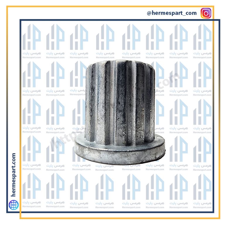 مغزی پروانه 11 خار کوچک