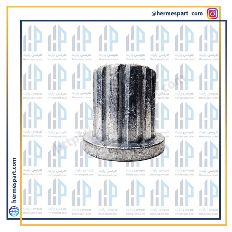 مغزی پروانه 4 گوش